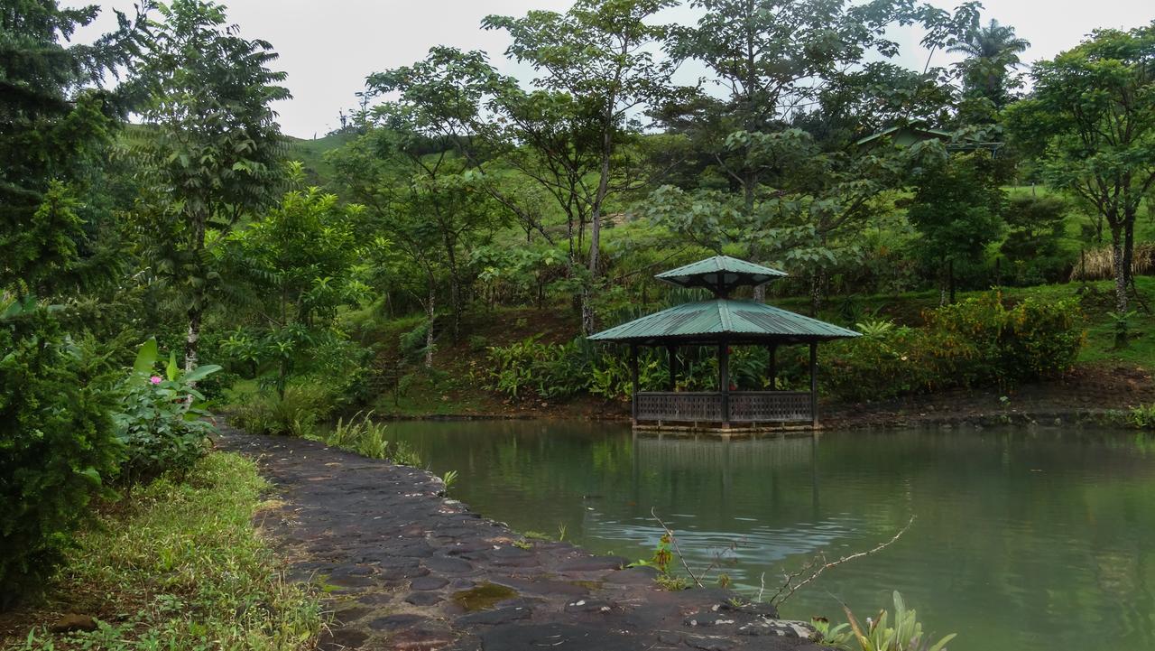 Malekus Mountain Lodge Aguas Claras  Esterno foto